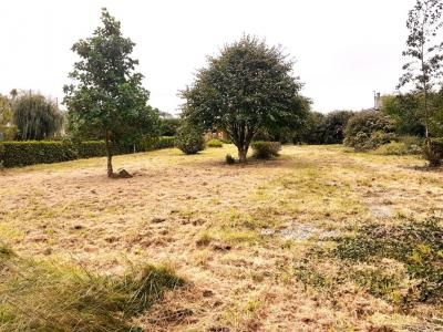 Acheter Terrain 1200 m2 Telgruc-sur-mer