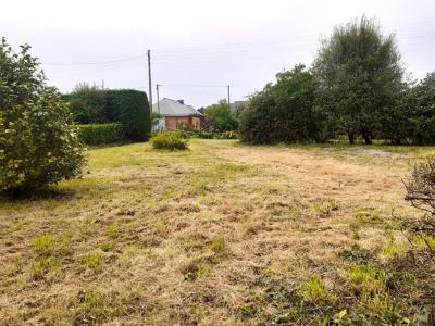 Acheter Terrain Telgruc-sur-mer 116000 euros