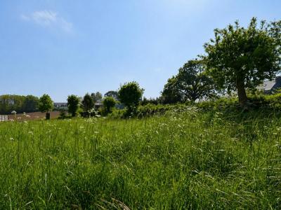 Annonce Vente Terrain Saint-quay-perros 22