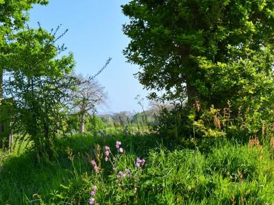 Acheter Terrain 790 m2 Saint-quay-perros