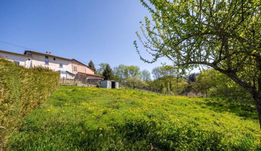 Acheter Maison Violay Loire