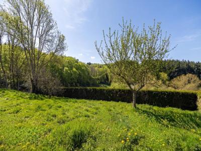 Acheter Maison Violay 106000 euros