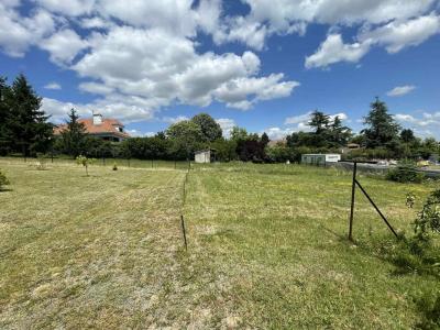 Annonce Vente Terrain Boen 42