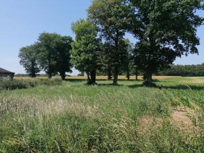 Annonce Vente Terrain Loyat 56