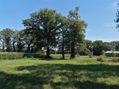 Acheter Terrain 2000 m2 Loyat