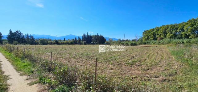 Annonce Vente Terrain Elne 66