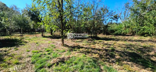 Acheter Terrain Elne 125990 euros