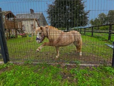 Acheter Maison 140 m2 Brullemail