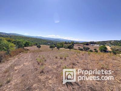 Acheter Terrain 5000 m2 Porticcio