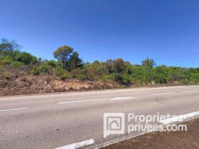 Acheter Terrain Porticcio 1250000 euros
