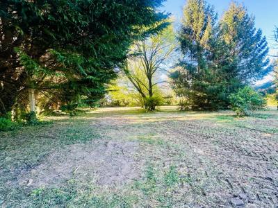 Annonce Vente 6 pi�ces Maison Pont-l'eveque 14