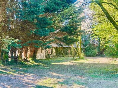Acheter Maison 110 m2 Pont-l'eveque