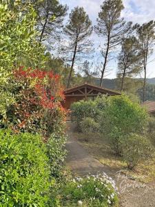 Annonce Vente 3 pi�ces Maison Sollies-toucas 83