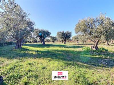 Acheter Maison Castellet 1092000 euros