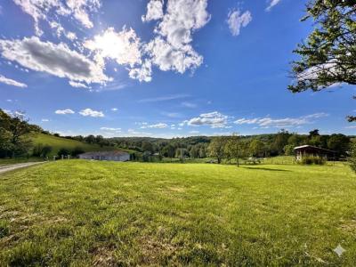 For sale Agen 1588 m2 Lot et garonne (47000) photo 0