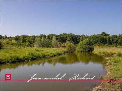 Annonce Vente Terrain Cande-sur-beuvron 41