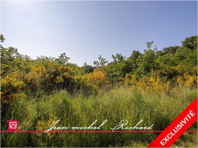 Acheter Terrain 32767 m2 Cande-sur-beuvron