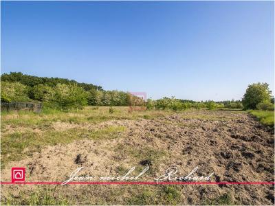 Acheter Terrain Cande-sur-beuvron Loir et cher