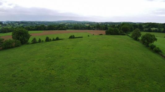 For sale Saint-martin-le-vieux 32767 m2 Haute vienne (87700) photo 2