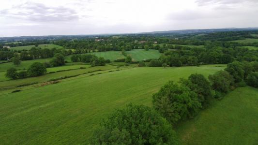 For sale Saint-martin-le-vieux 32767 m2 Haute vienne (87700) photo 3