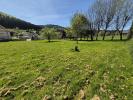 Vente Terrain Colroy-la-roche  799 m2