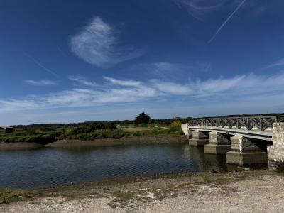 For sale A 200 M DU PONT DE LA SAL 530 m2 Vendee (85340) photo 0