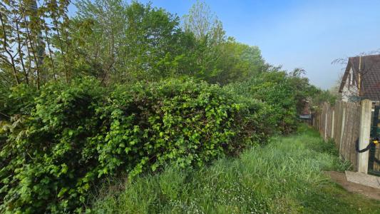 Annonce Vente Terrain Champagne-sur-oise 95