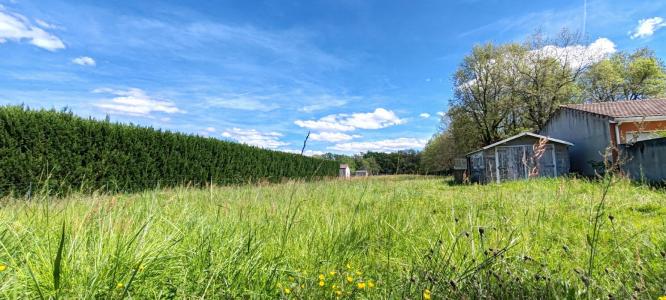 For sale Castelnau-d'estretefonds 1600 m2 Haute garonne (31620) photo 0