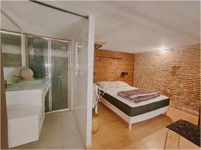 Annonce Location 2 pi�ces Appartement Toulouse 31