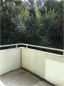 Annonce Location Appartement Toulouse 31