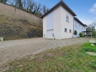 Annonce Vente 7 pi�ces Maison Serpaize 38