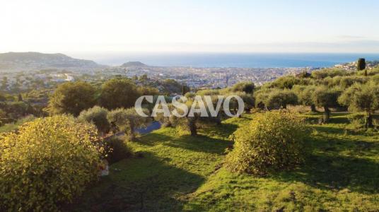 For sale Nice 3337 m2 Alpes Maritimes (06100) photo 0
