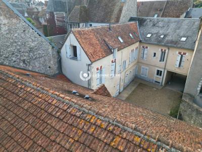 For sale Chatillon-sur-loire 783 m2 Loiret (45360) photo 2