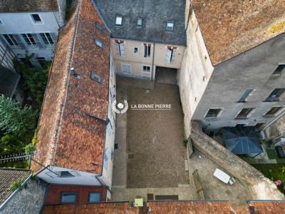 For sale Chatillon-sur-loire 783 m2 Loiret (45360) photo 3