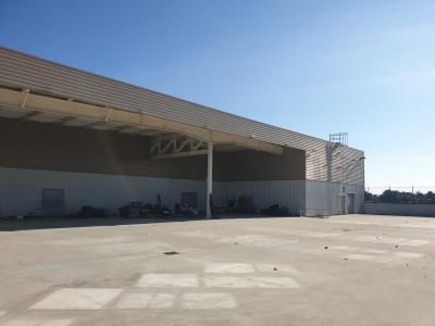 Louer Local commercial 3255 m2 Phalsbourg