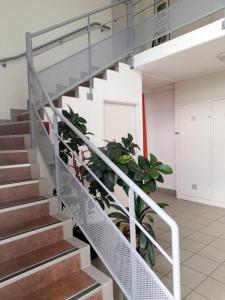 Annonce Location 3 pi�ces Appartement Saulxures-les-bulgneville 88