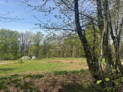 Annonce Vente Terrain Affieux 19