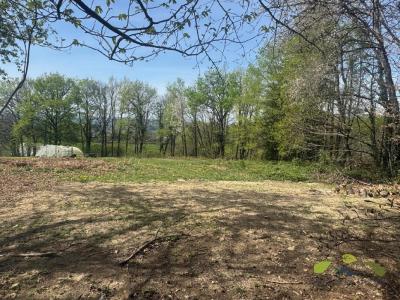 Acheter Terrain 2812 m2 Affieux