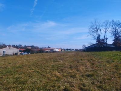 For sale Saint-clar-de-riviere 272 m2 Haute garonne (31600) photo 0