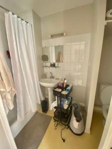 For rent Toulouse 1 room 21 m2 Haute garonne (31000) photo 4