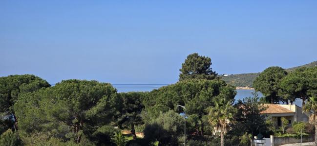 For sale SAGONE 2 rooms 58 m2 Corse (20160) photo 0