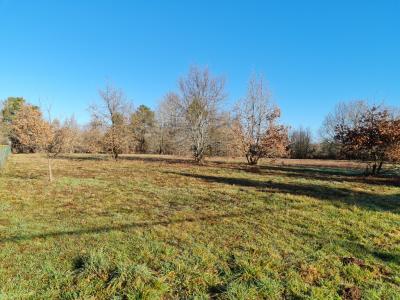 Annonce Vente Terrain Saint-laurent-des-hommes 24