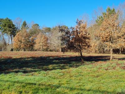 Acheter Terrain 11408 m2 Saint-laurent-des-hommes