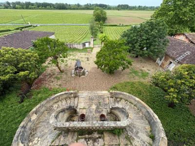For sale Loupiac 20 rooms 1100 m2 Gironde (33410) photo 2