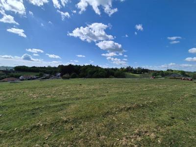 Acheter Terrain 5000 m2 Tulle