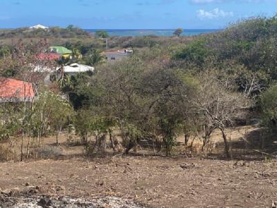 Annonce Vente Terrain Sainte-anne 972
