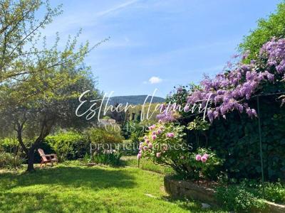 Acheter Prestige 351 m2 Saint-hippolyte-du-fort