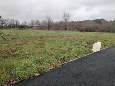 Annonce Vente Terrain Marne 44