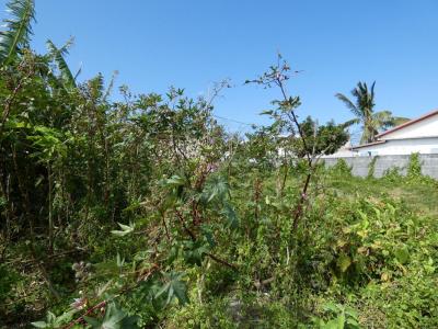 Annonce Vente Terrain Saint-benoit 974