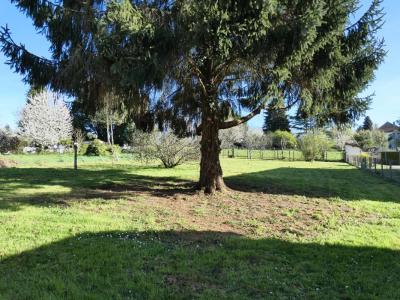Annonce Vente 5 pi�ces Maison Payzac 24